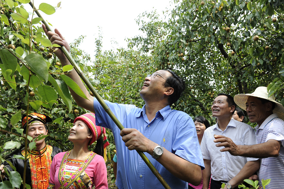 一年级看图写话：家乡的苹果丰收了
