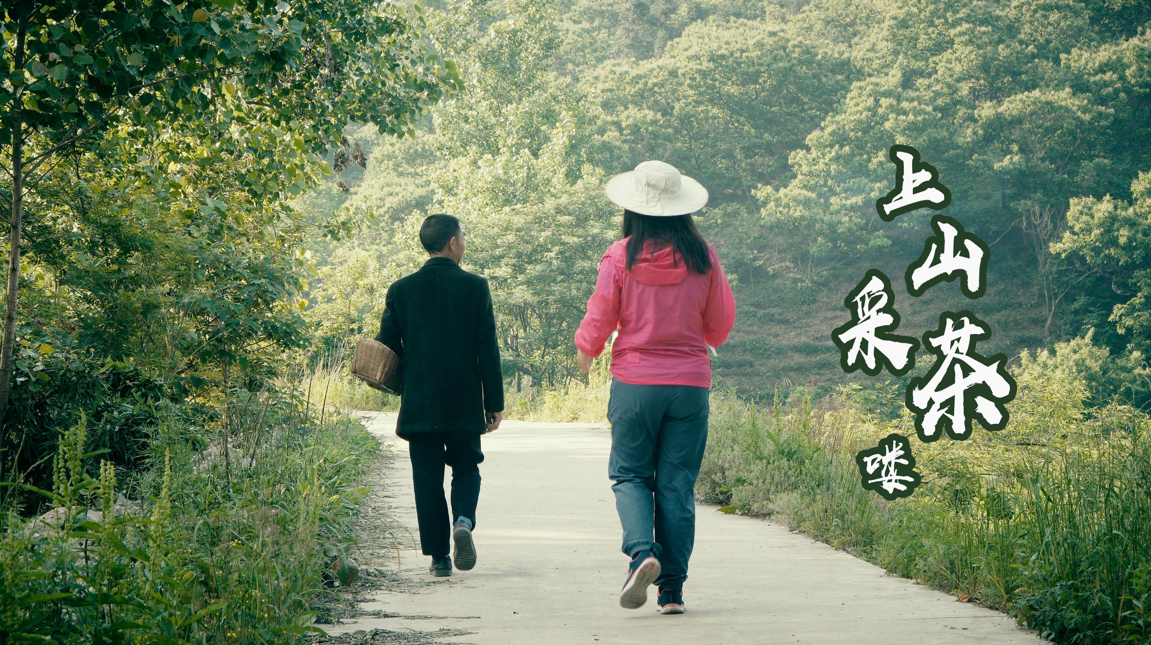 姑娘跟老汉上山采茶,下山手工炒制,忙活半天只出了2两信阳毛尖