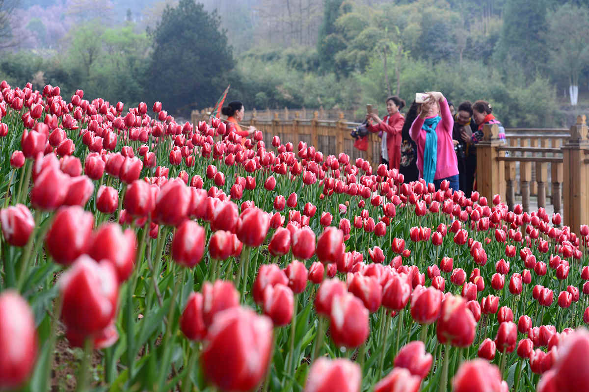 2019年贵阳神农医药学校中职中专招生简章