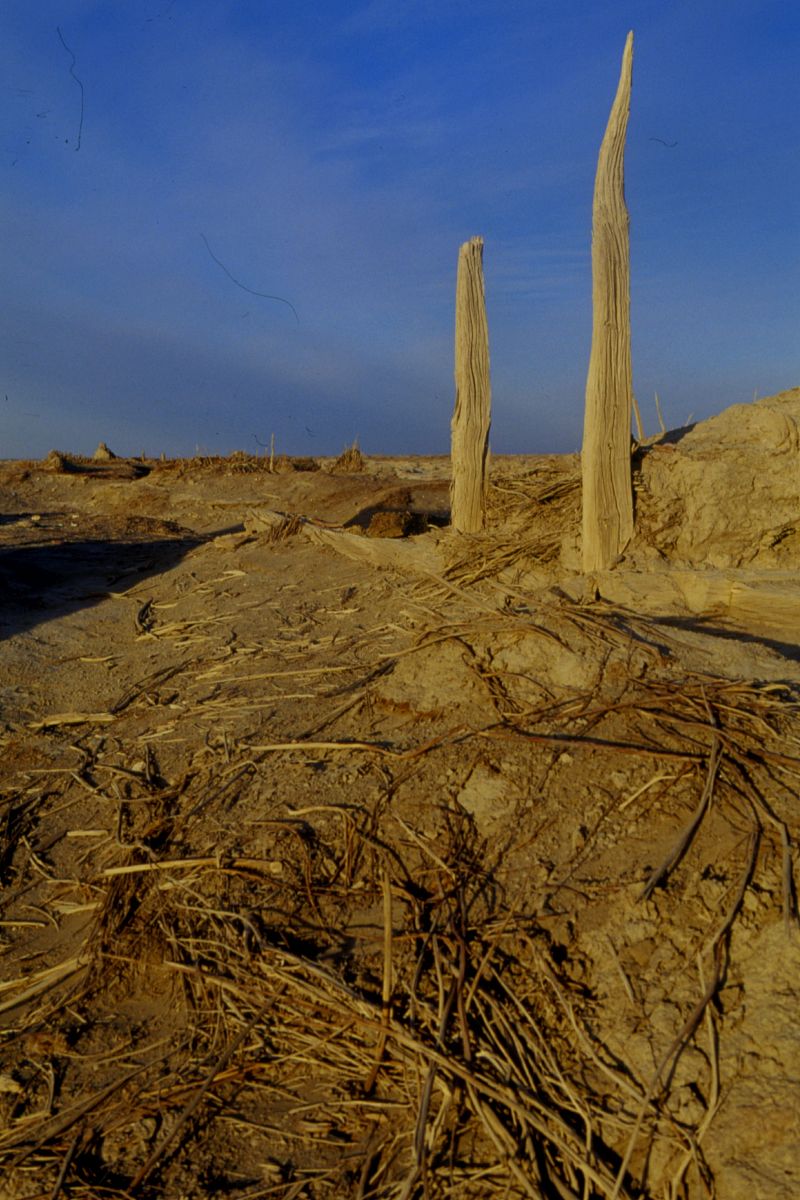 楼兰古国在哪个地方