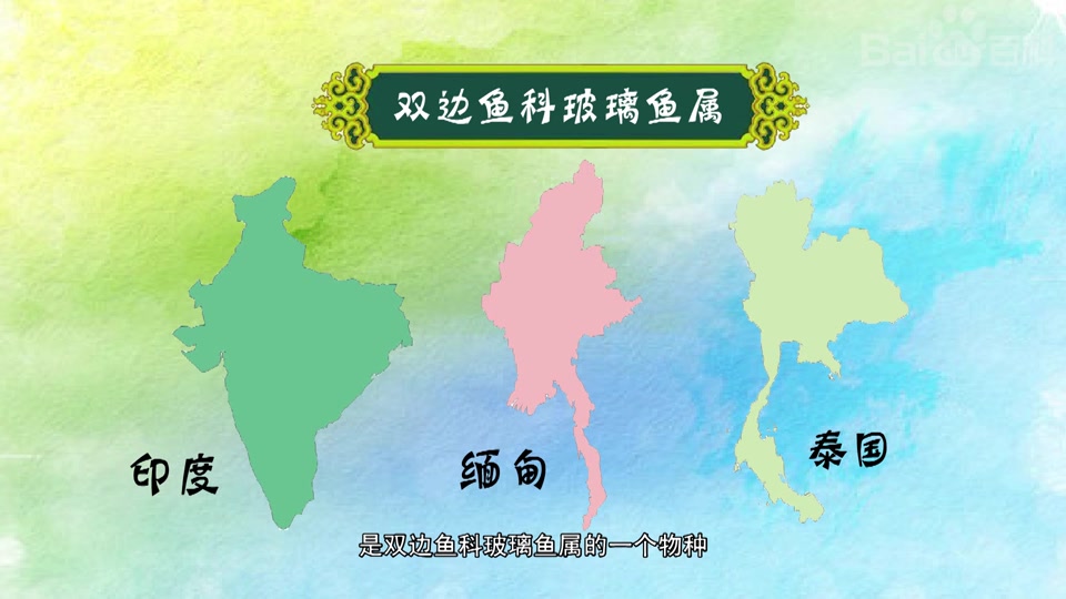 七彩玻璃鱼