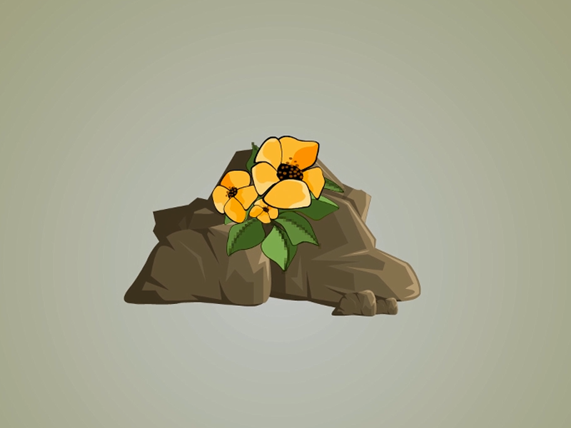 生石花:是石竹目,番杏科生石花属全属植物的总称
