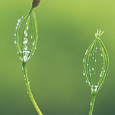 美国社会的主要矛盾是什么?难道是?不对,不对