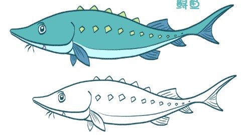简笔画大全,鲟鱼