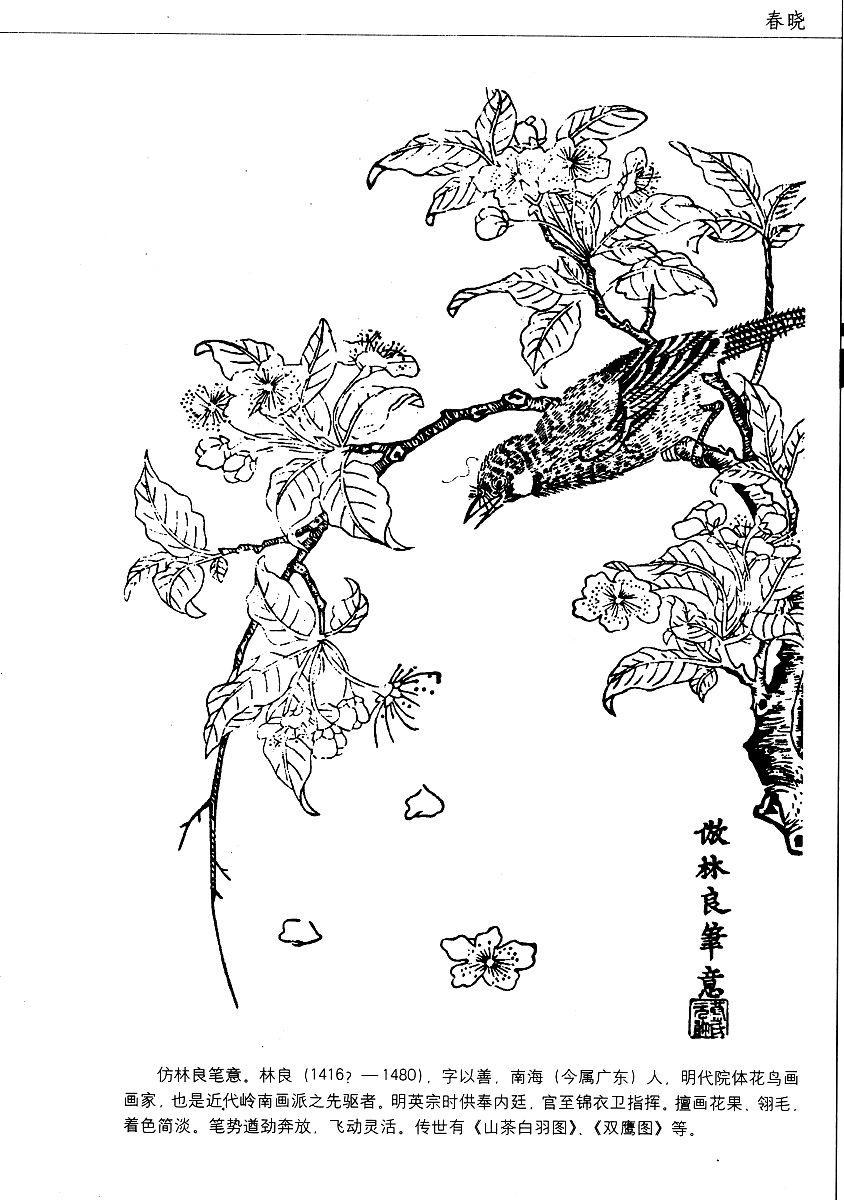 我做了一个有关古诗《春晓》的教学课件请你写一篇制作脚本。