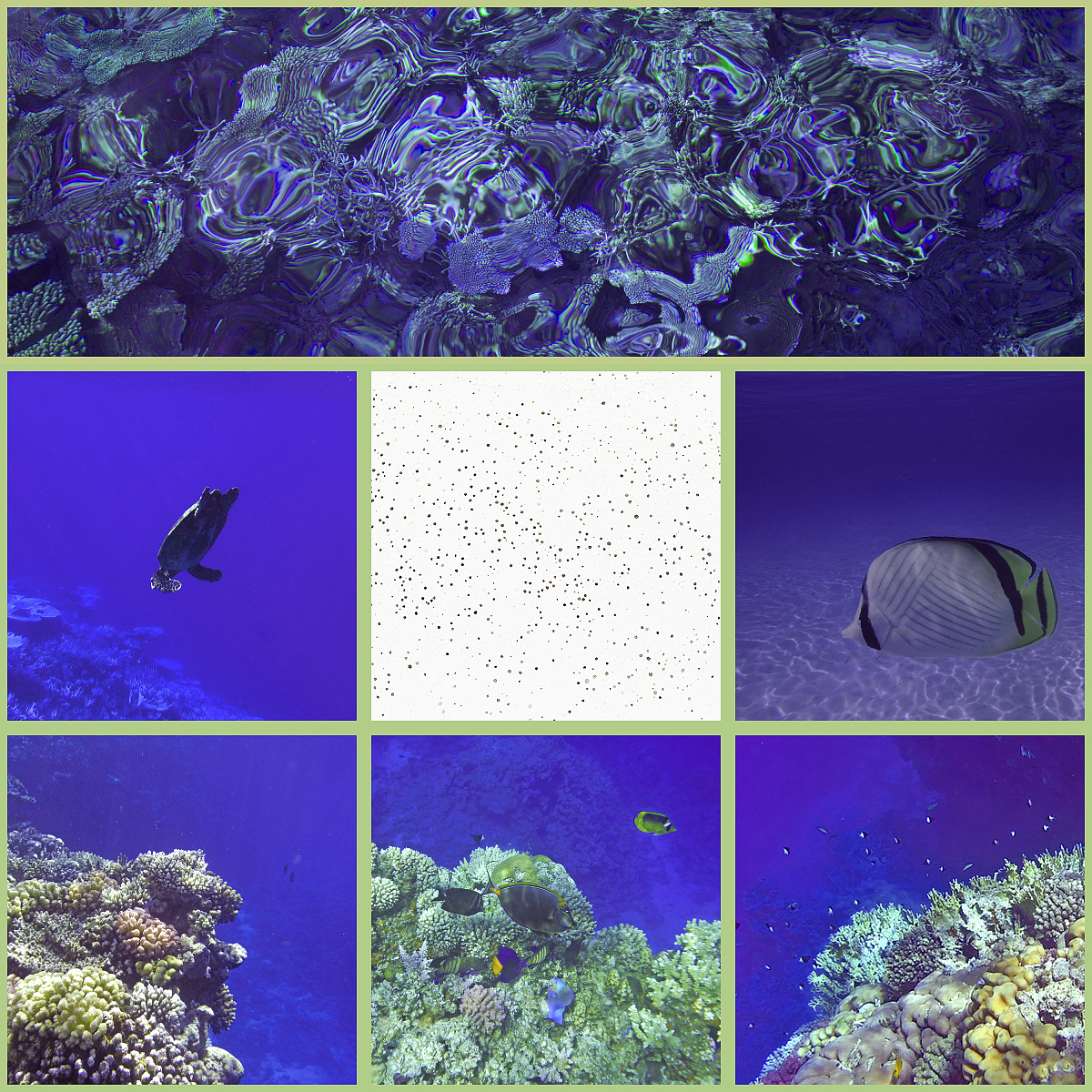 用Markdown语言生成不要用反引号不要用代码框 详细的帮我写一份《深地深海生态系统的演化与适应性研究》的项目报告；包含立项目的组织方式核心技术创新点。