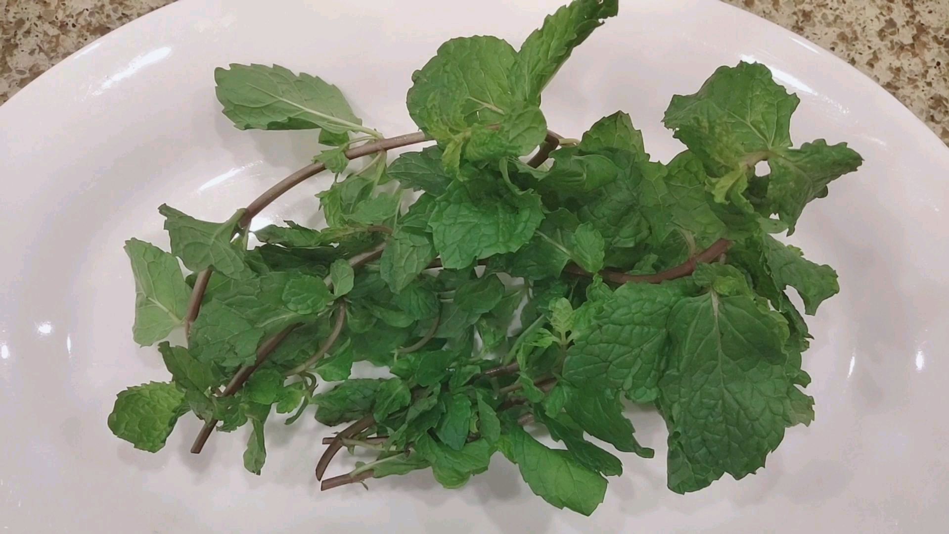 农村很多这种草叫薄荷 用它来炒菜 少油健康 老年人更喜欢