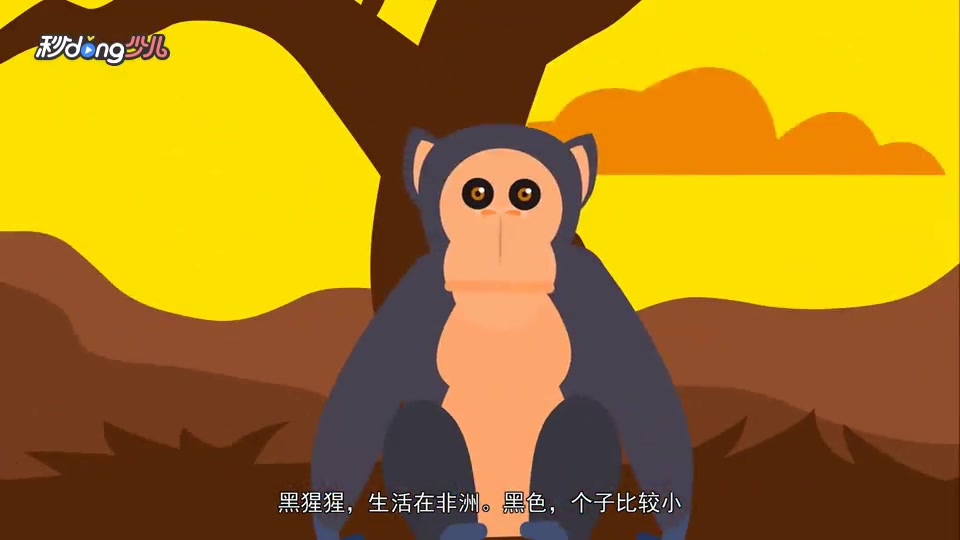 [图]黑猩猩、大猩猩和猩猩的差别在哪