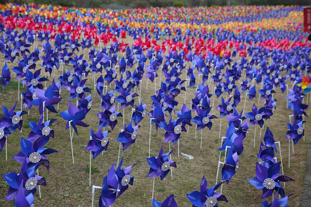 2015年3月15日,上海,为了配合郁金香花展,主办方在公园里一个小山坡上