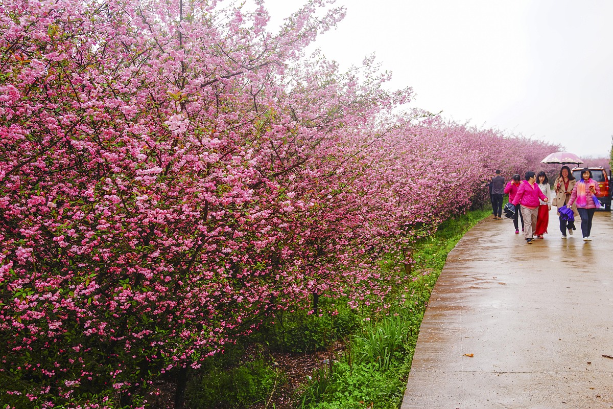 用女友名字“成果”取中文网名？快来参考这些创意！