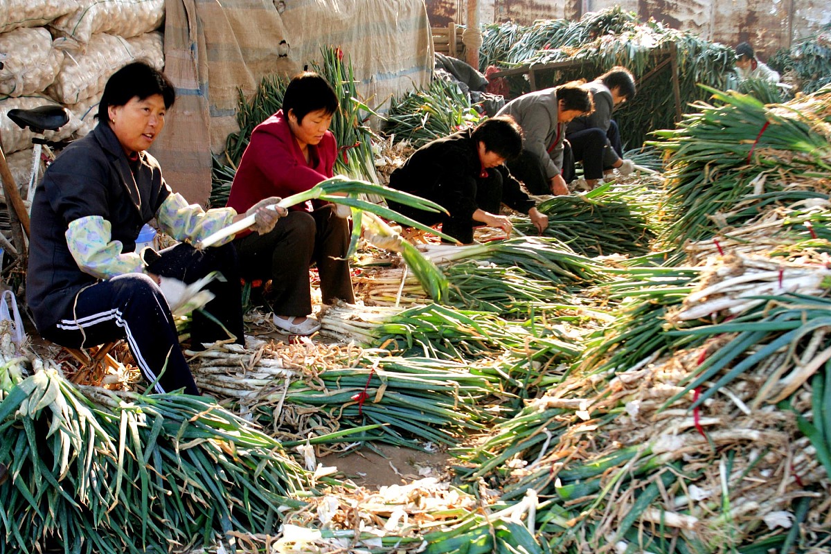 2006年11月6日,安徽淮北市东城蔬菜批发交易市场里买卖蔬菜农产品的经