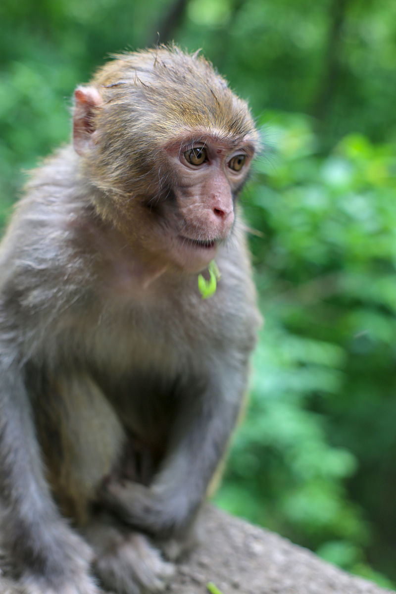 贵阳市卫生学校2019年秋季招生简章 - 报名、专业、学费及就业