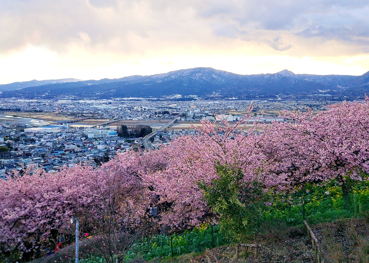 分手 6字以内诗句