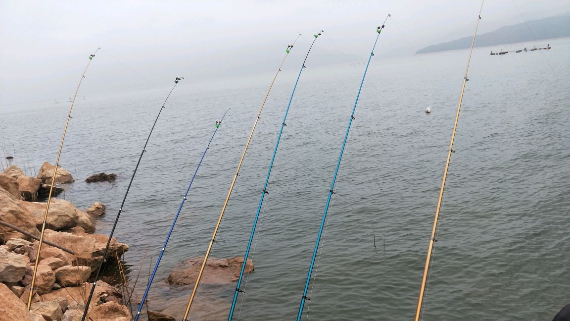 海竿用这钩钓鳊鱼,效果真绝,水底高清实拍,看得真过瘾……