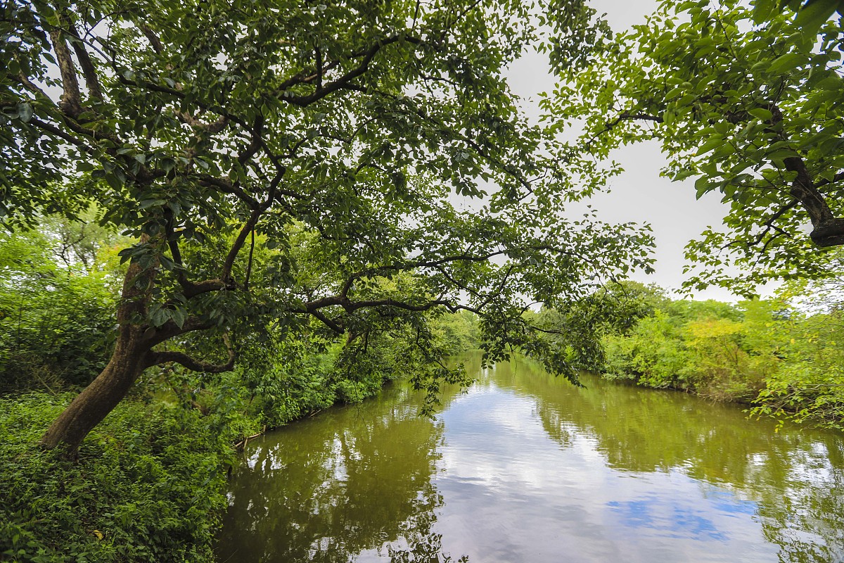 改写并降重：认为生态旅游资源适宜性评价是以可持续发展为基础为发展生态旅游提供依据使潜在生态旅游资源正确转化为旅游吸引物