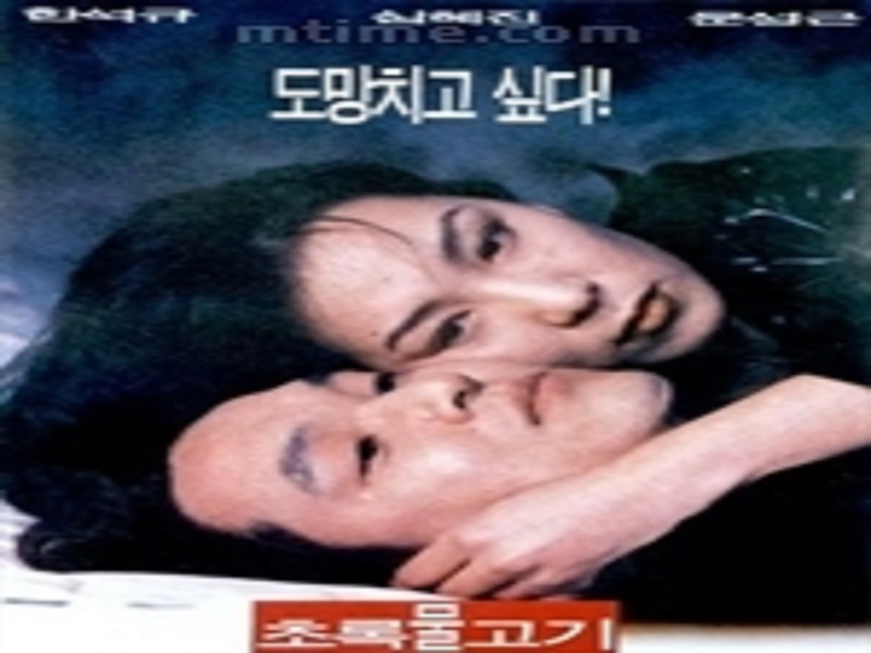 绿鱼:因为美爱的关系加入了黑社会