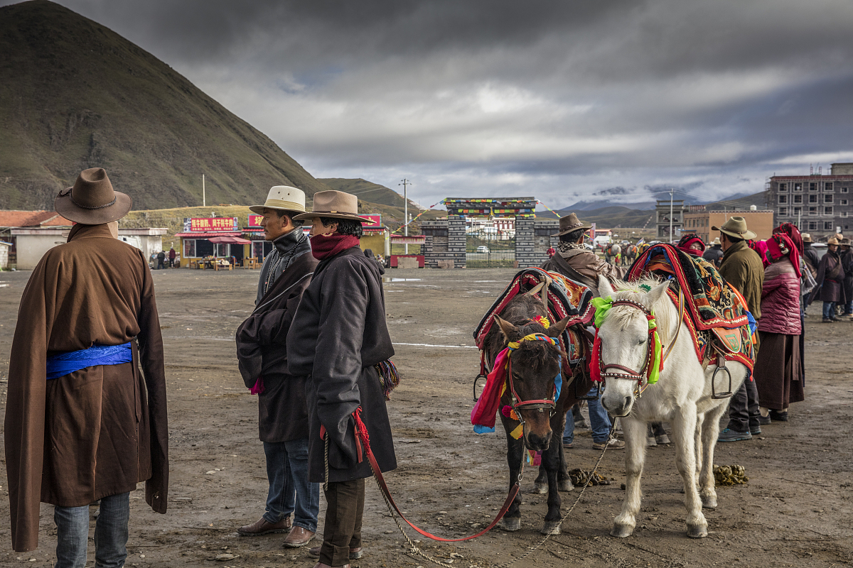 塘排村跳岭头调研分析总结：详细报告