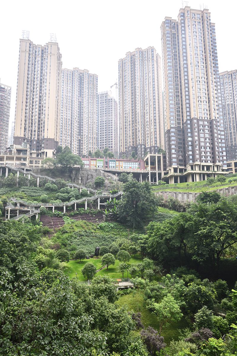 重庆工贸职业技术学院2019招生 | 报考指南及专业解析