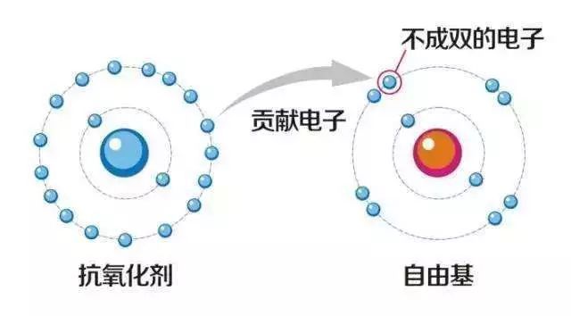 人口学说_阅读材料.完成下列要求.材料一 1798年.英国的人口理论学家马尔萨斯(3)