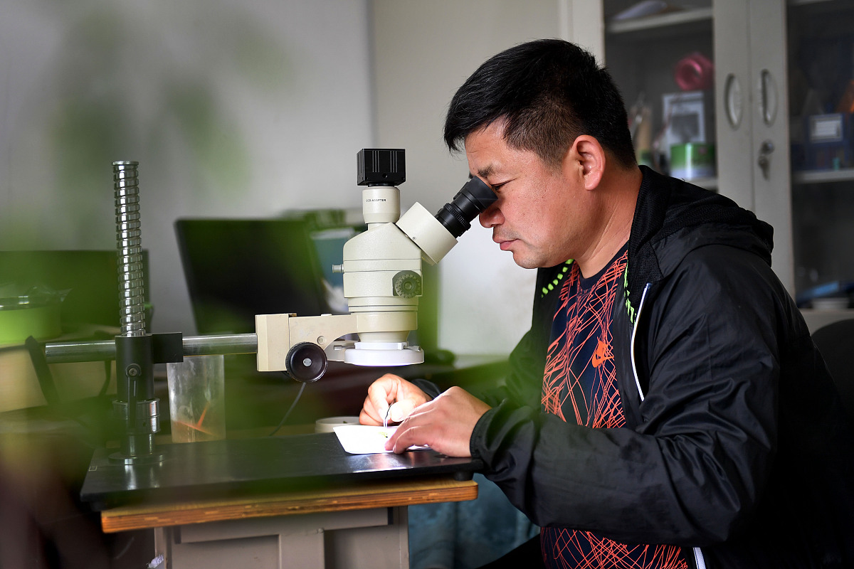 国际气候学期刊简介 - 国际期刊《国际气候学》