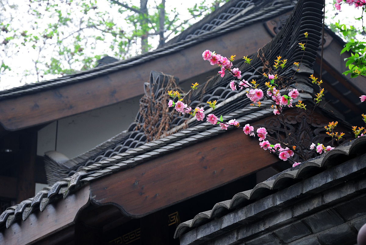 四川广播电视中等专业学校旅游服务与管理专业就业前景 - 未来发展趋势