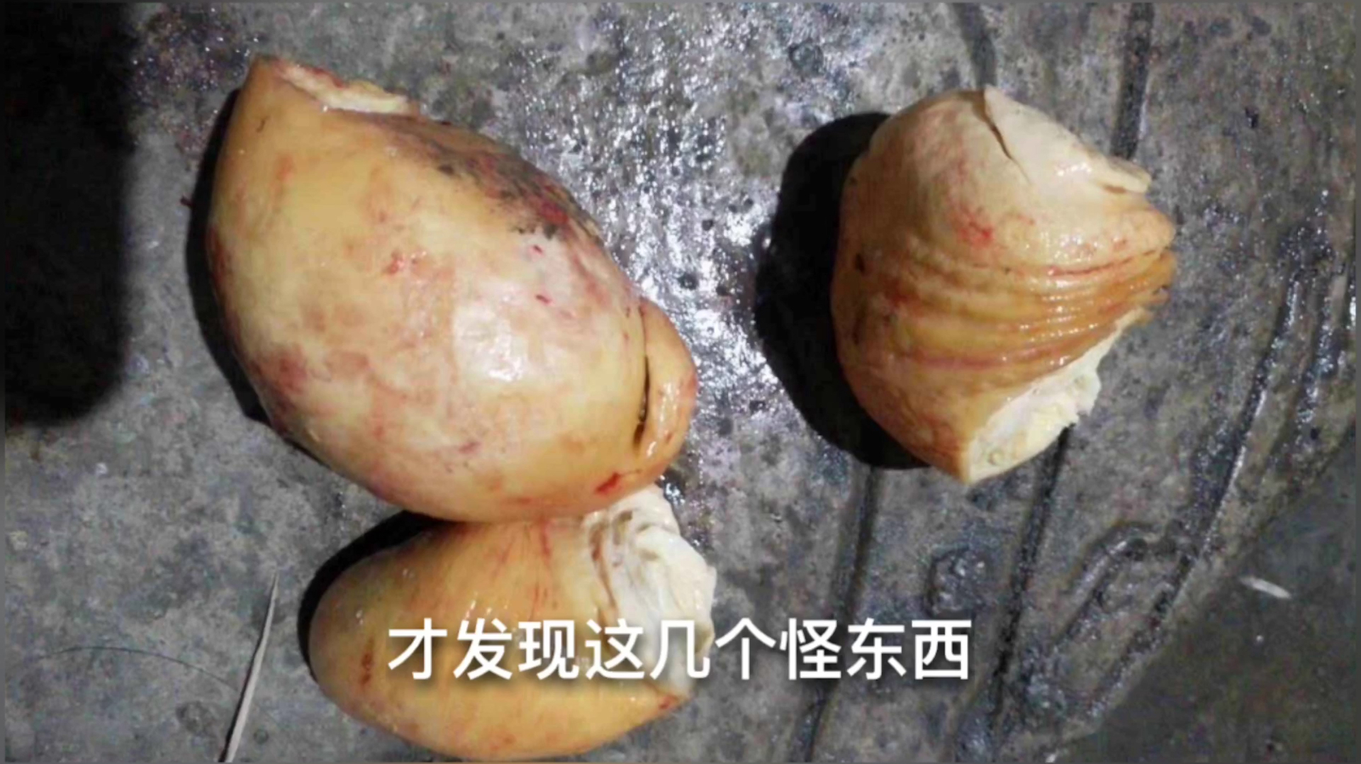 杀鸡发现“鸡宝”,每克收购价高达数万元,这东西能价值一套房?