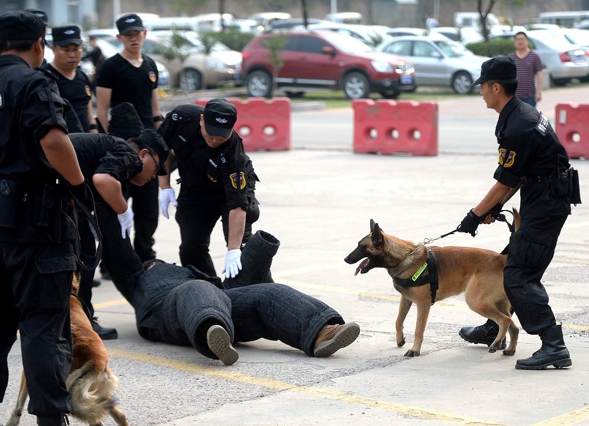 大型活动安保工作应急预案怎么设计
