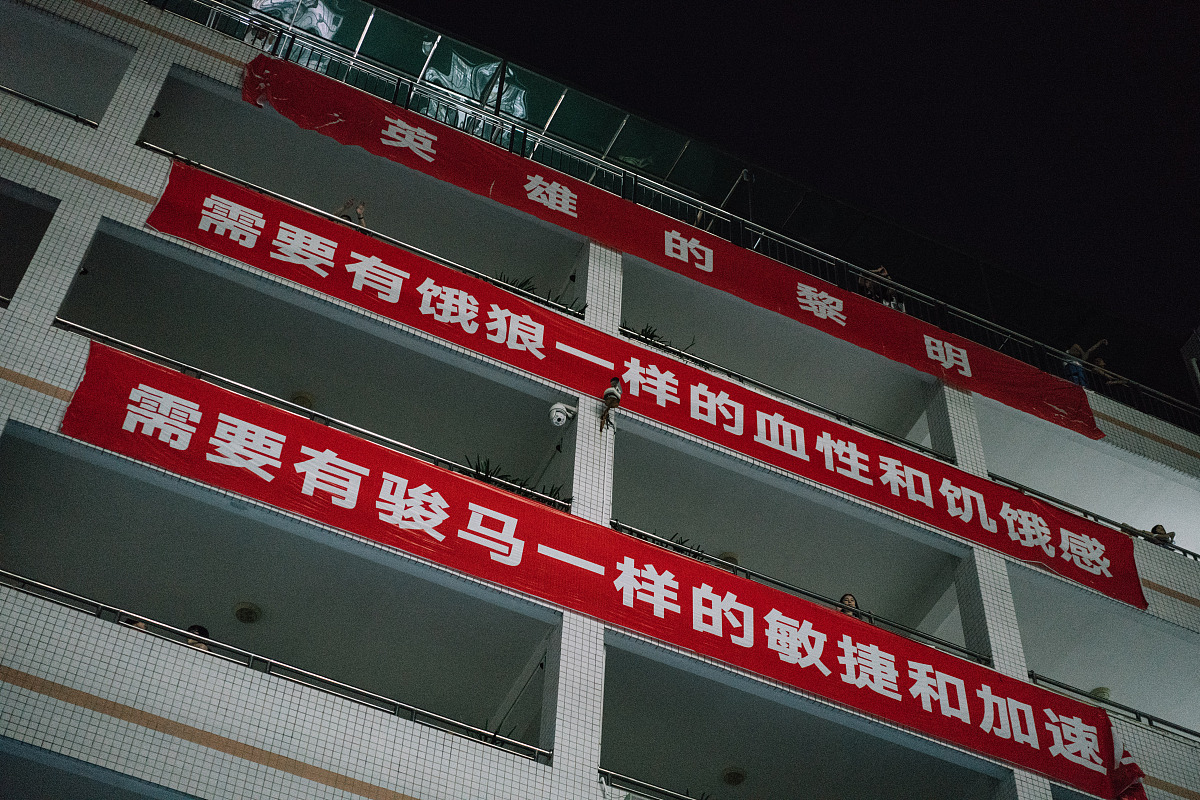 学校发展力国内外同一研究领域现状