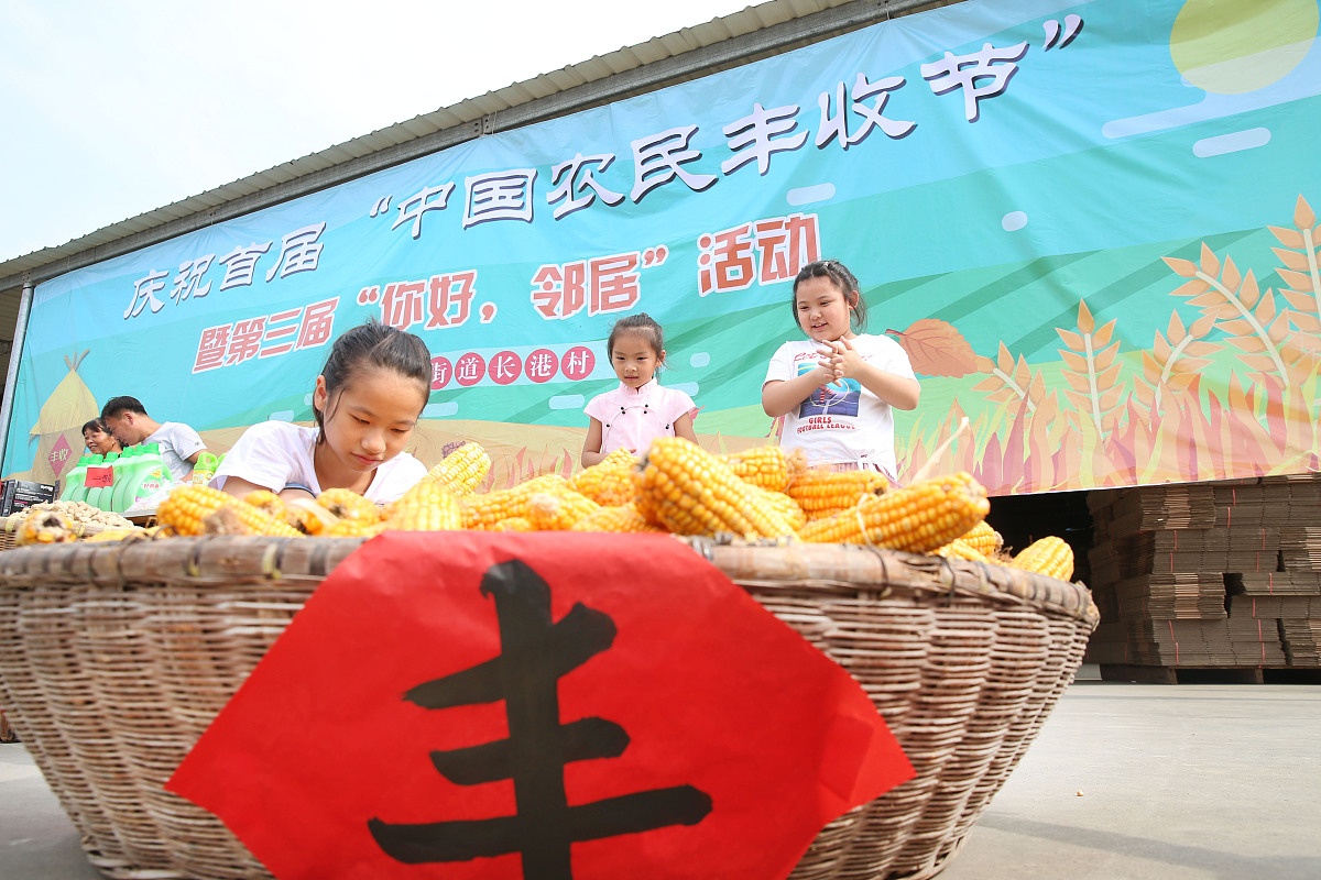 农耕之美——致敬勤劳农民：给农民丰收节兼品牌授权线上会主题