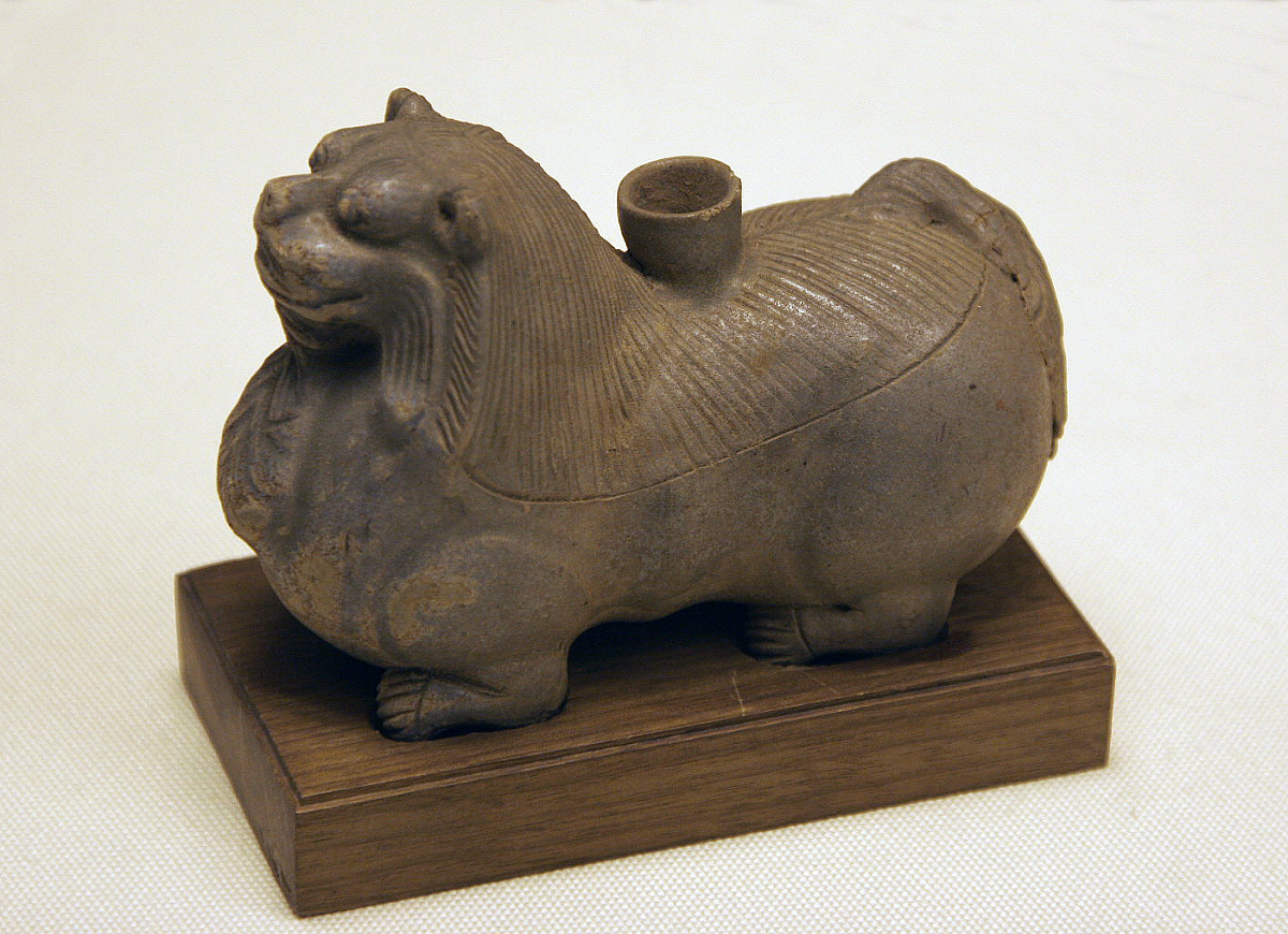 云南文化艺术职业学院五年制大专2021年招生专业有哪些