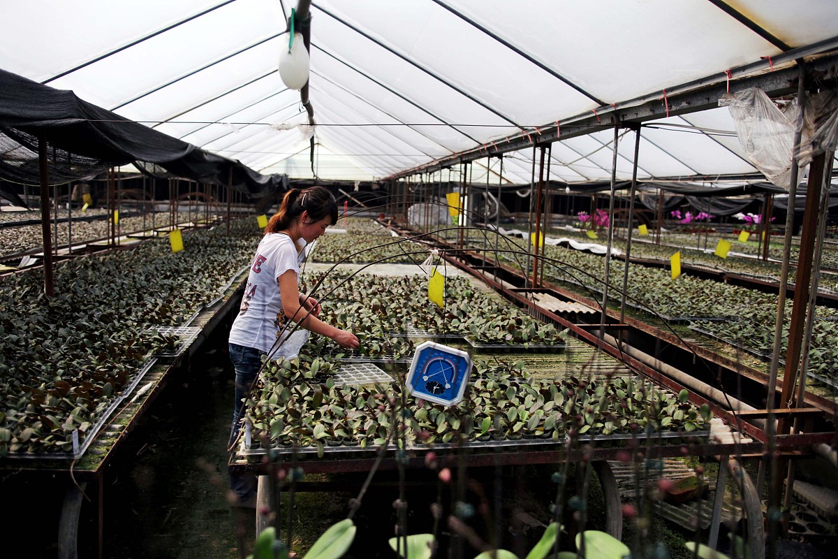 石家庄农业学校2023年有哪些专业