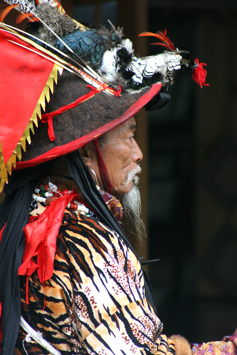 中国西南地区少数民族有哪些？