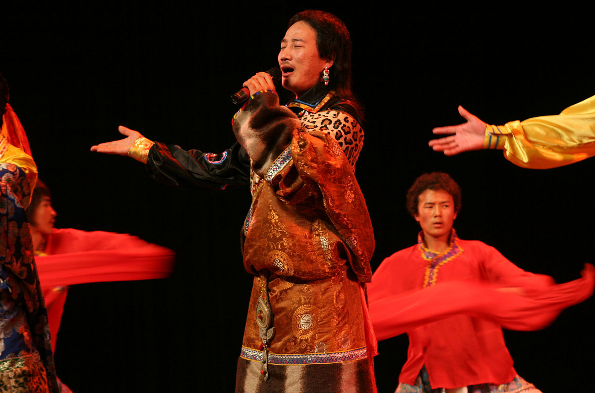 魏新雨演唱的热门歌曲《只因你太美》