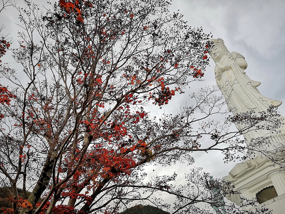 表交集类型：数据分析中的关键操作