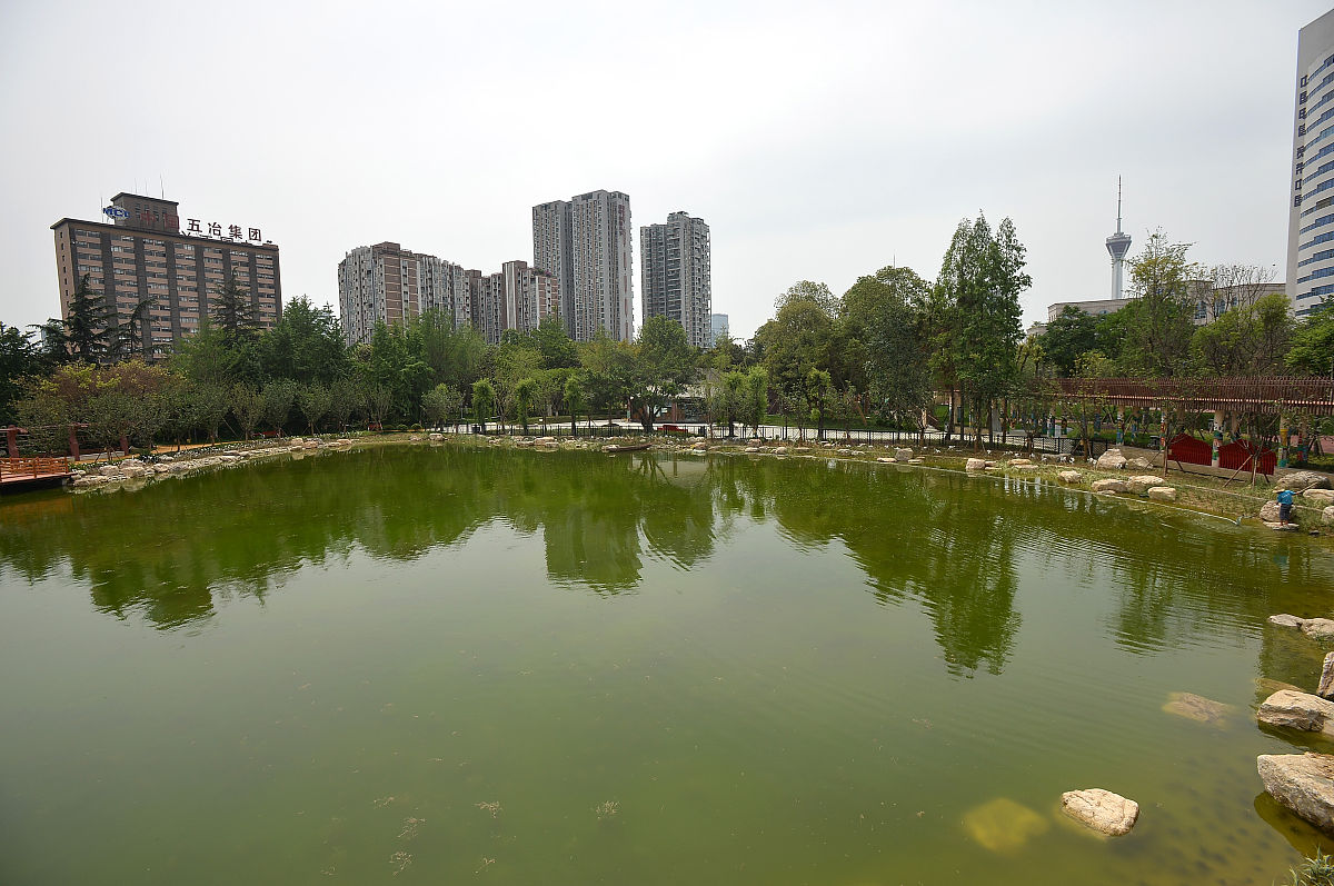 成都幼师学校排名：哪所学校最适合你？