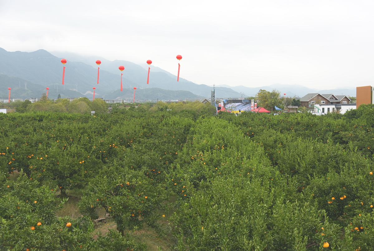 给我写一个200字左右的保研申请理由