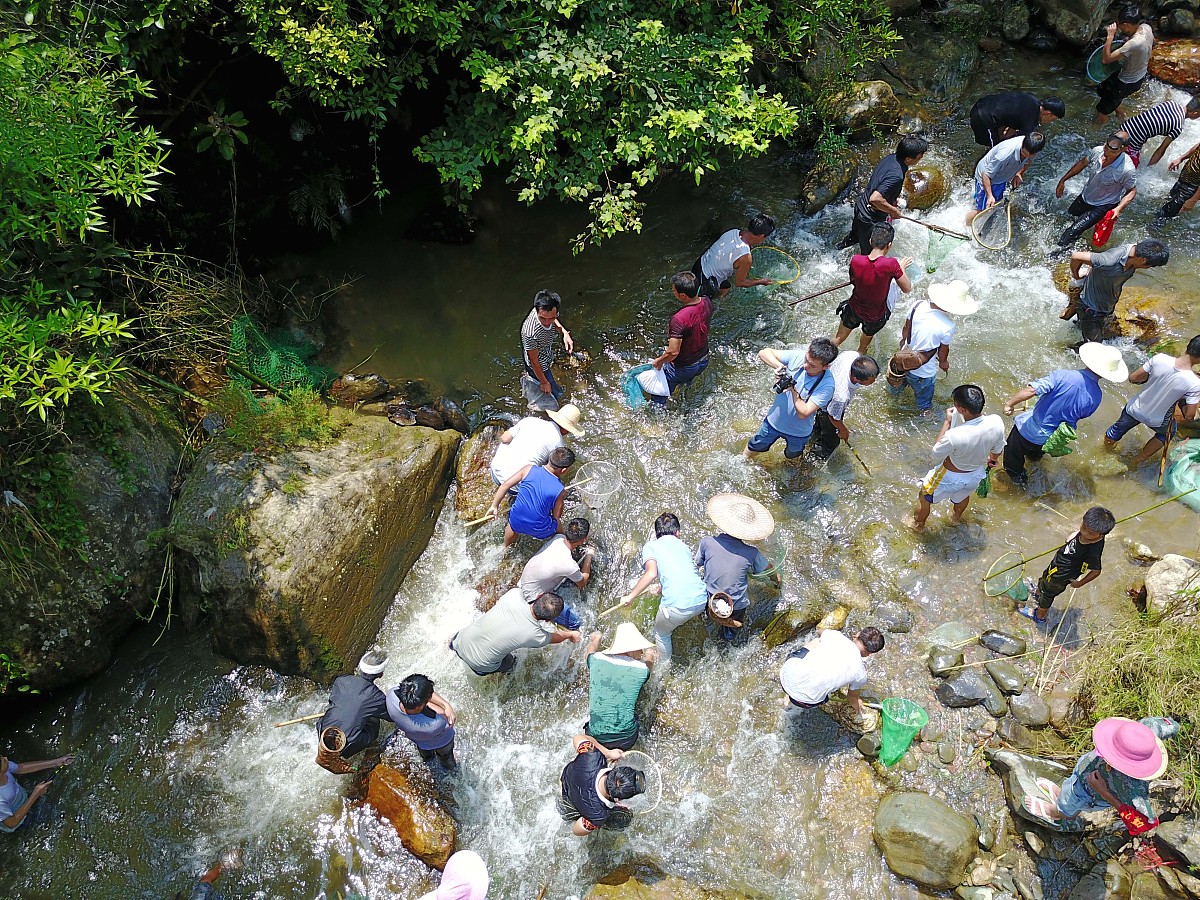 周末 潮州市溪美 溪边 吃窑鸡 玩水枪 打水仗 抓河蚌 200字作文