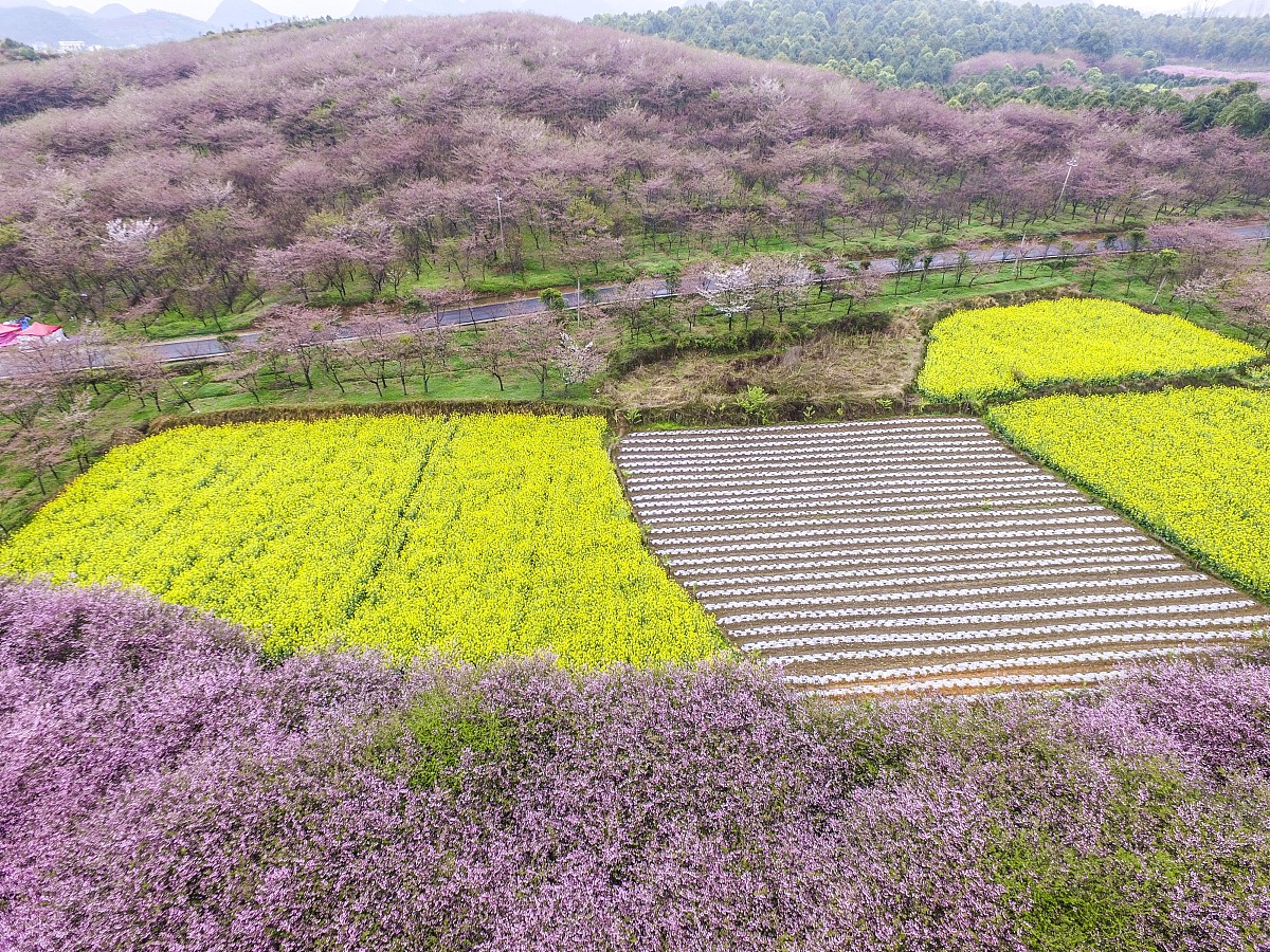 100个简单干净5字网名，让你轻松拥有好名字