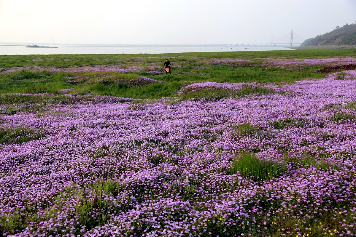 九江2021年100分能上铁路学校吗