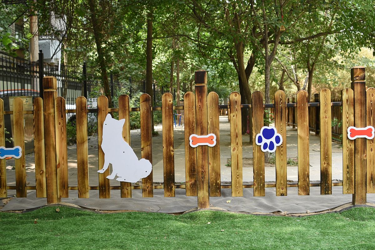 8000字关于社区公园中宠物犬活动空间研究论文