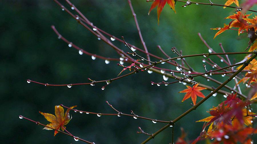 [图]俗话说“一场秋雨一场寒”,那秋雨之后,为何气温会下降这么快