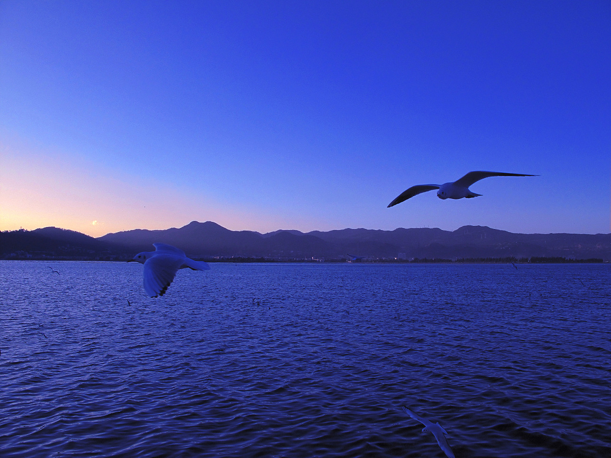 请写一篇《风光摄影》课程外出实践教学成果展示的前言