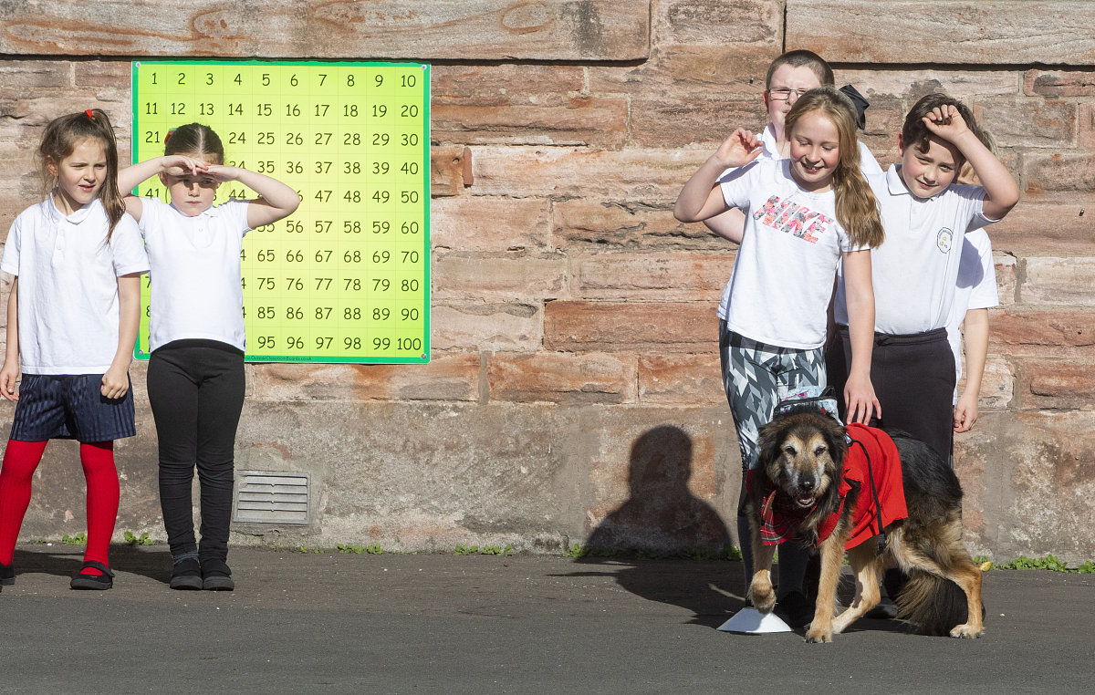 优秀毕业生评价：思想、学业、实践、生活全面展现