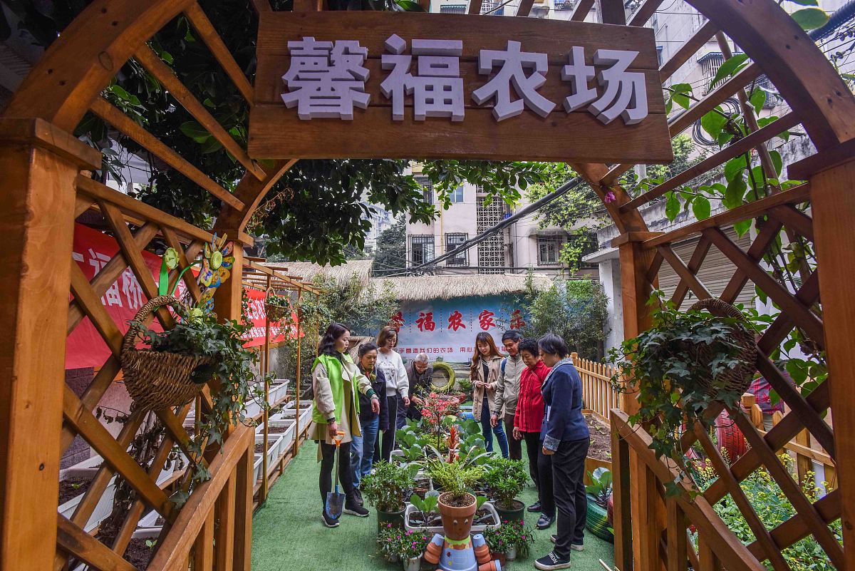 成都公共交通职业学校地址 - 培养公交行业人才的摇篮