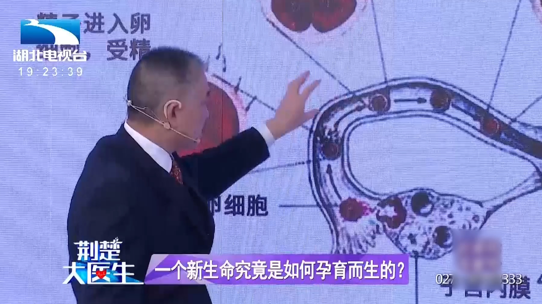 [图]一个新生命是如何孕育而生的?专家用动画和图像来辅助讲解