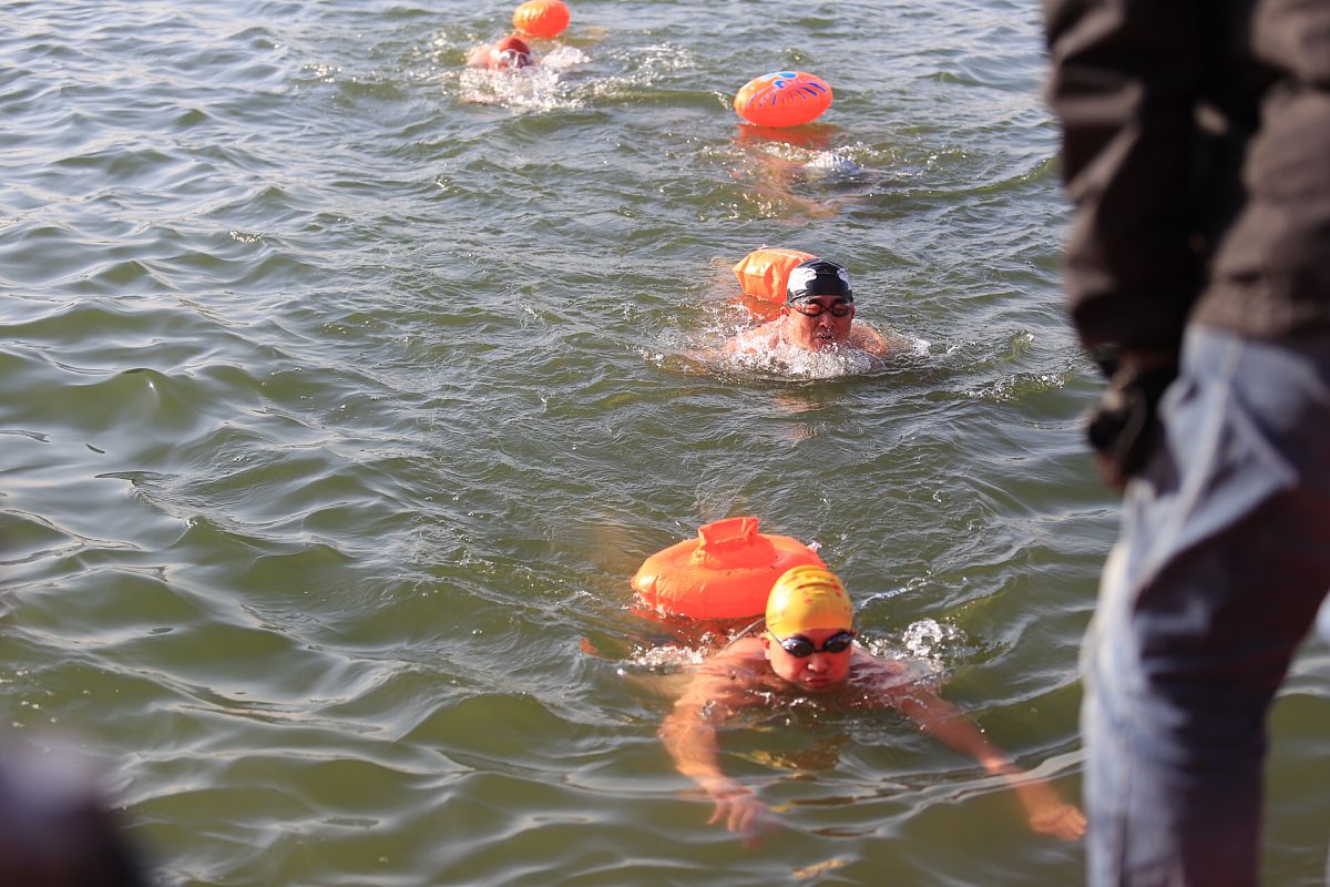 女朋友和妈妈掉水里先救谁？道德和常识的抉择