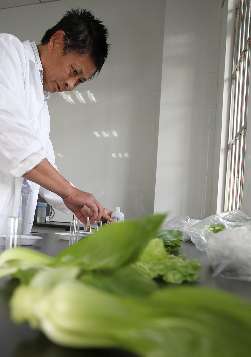 不同实验材料的辨别反应时是否存在差异前人研究