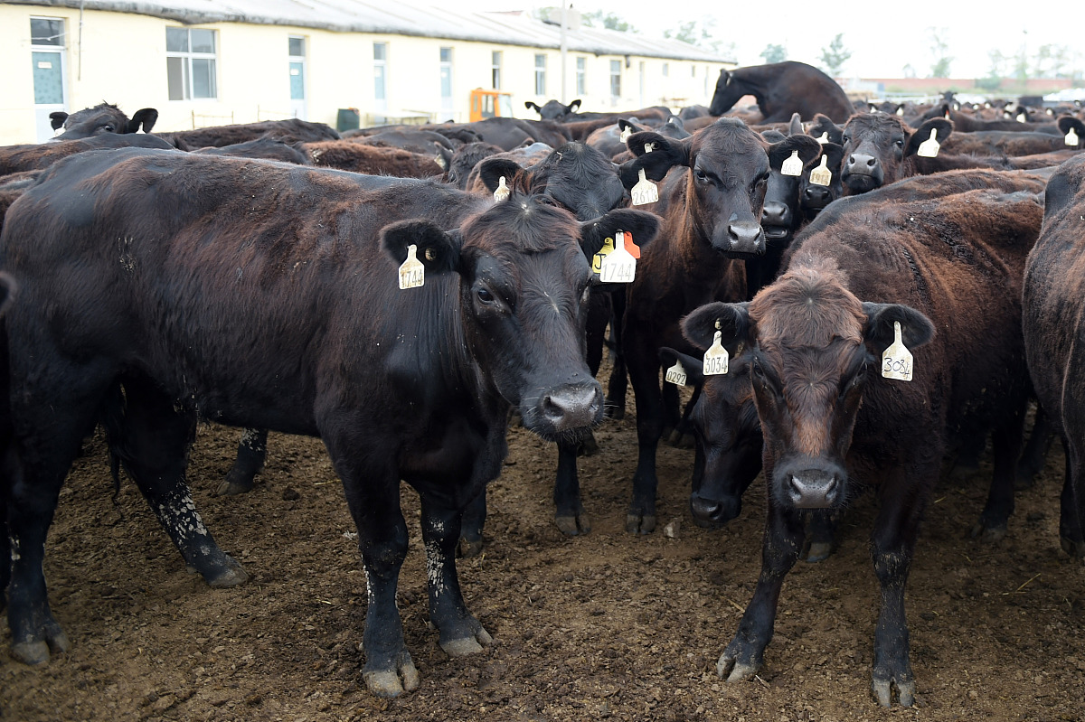 潍坊卫生学校2019年招生专业有哪些？
