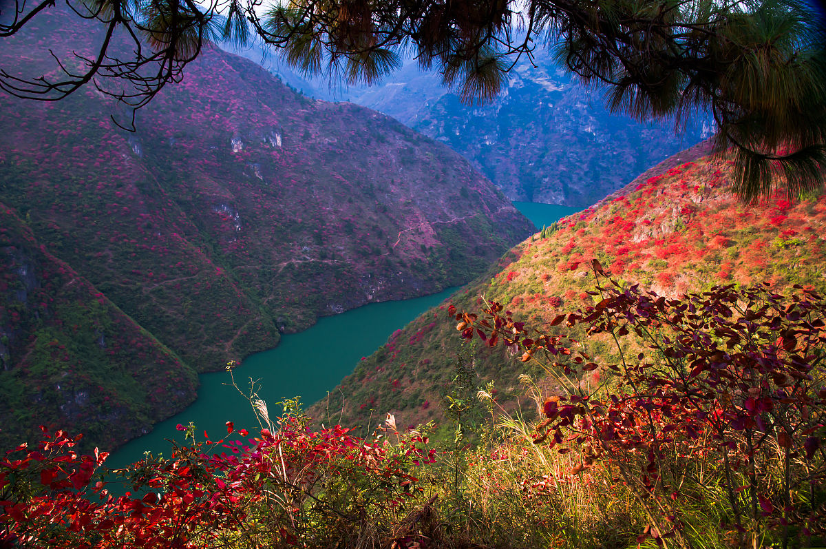 重庆5年制卫校有哪些用发散性