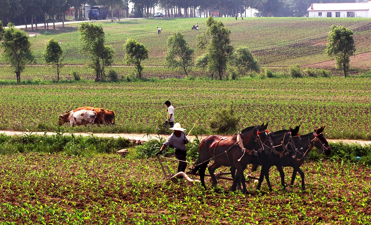 黑龙江农业经济职业学院会计专业就业前景如何